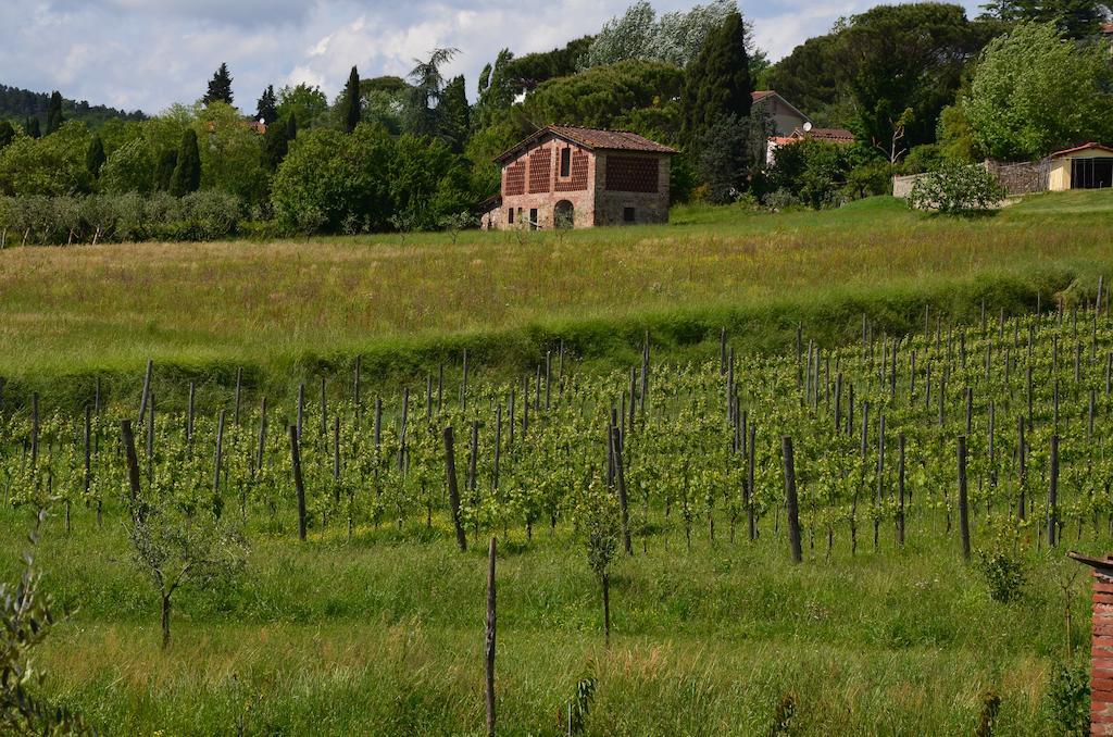 Agriturismo Al Podere Di Rosa Лукка Экстерьер фото