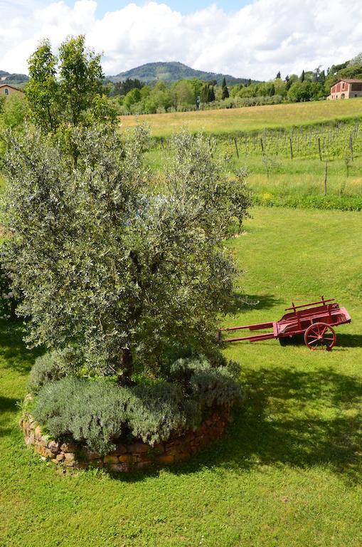 Agriturismo Al Podere Di Rosa Лукка Экстерьер фото