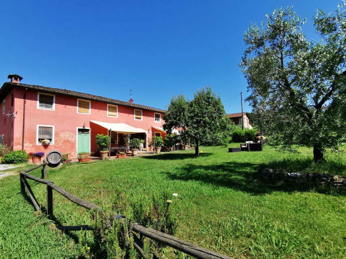 Agriturismo Al Podere Di Rosa Лукка Экстерьер фото